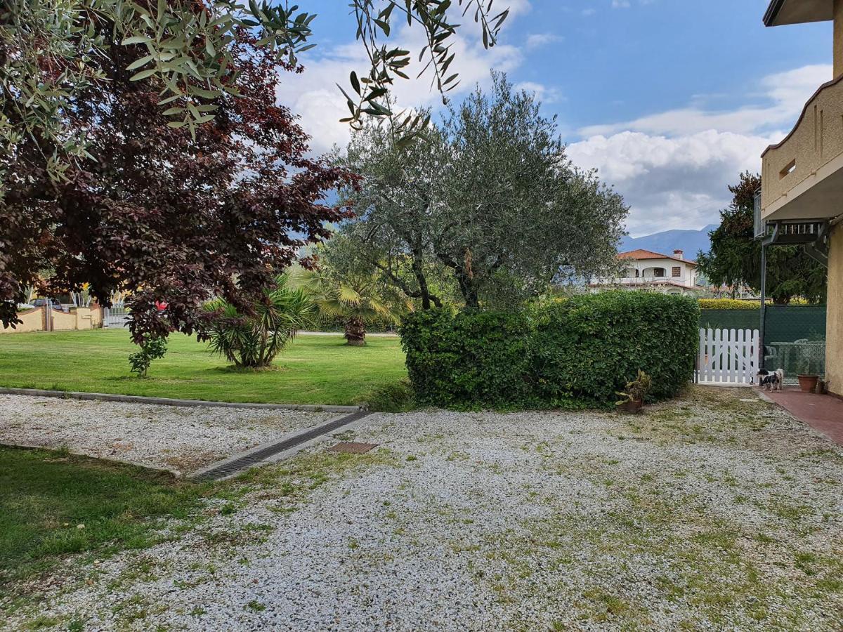 La Casetta Di Silvio Capezzano Pianore Eksteriør bilde